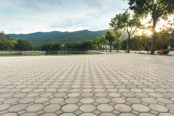 Best Local Driveway Pavers  in Jellico, TN